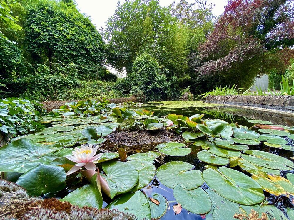 � vendre  Villa Carcassonne (11000)