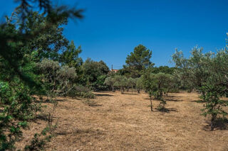  Terrain � vendre 1615 m�