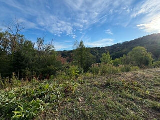 Vente Terrain Terrain d'exception à vendre à Bourbach le Haut - 2546 m² de pure opportunité Bourbach le haut