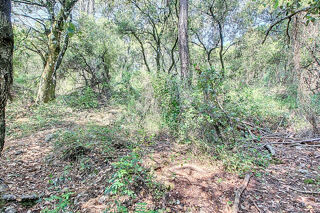  Terrain à vendre 