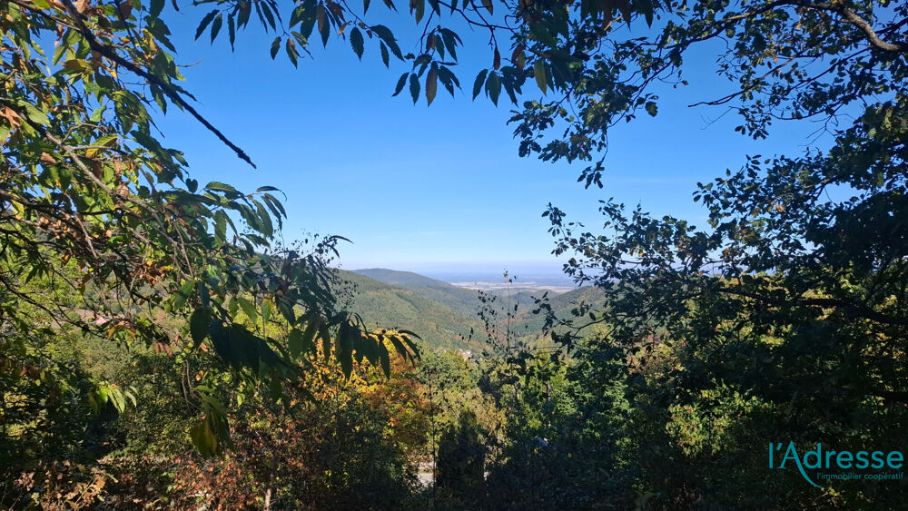 Vente Terrain Terrain Labaroche 2366 m2 Labaroche