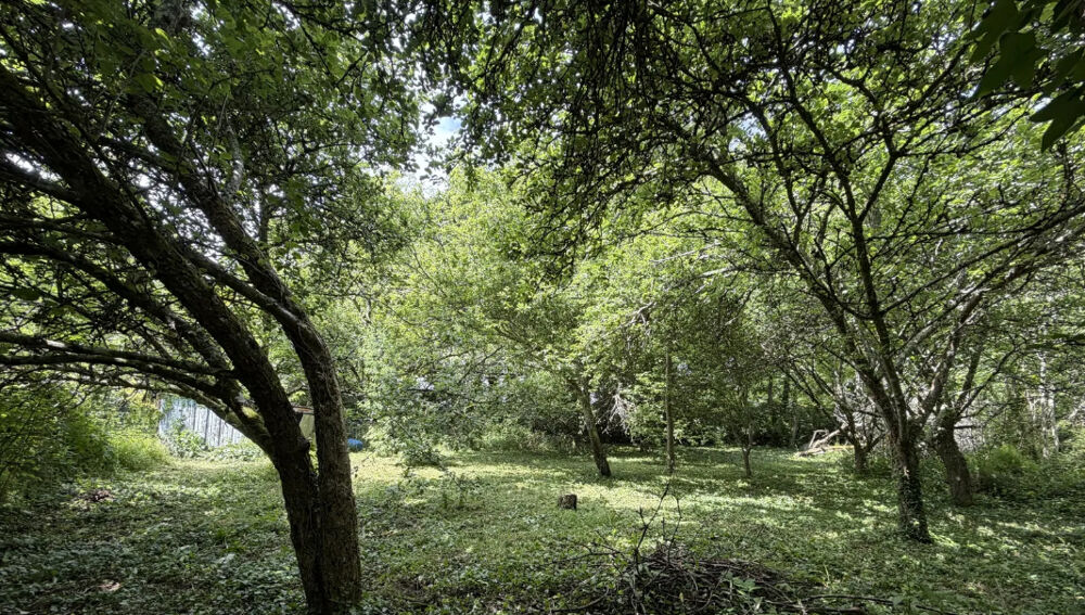 Vente Terrain CLOHARS CARNOËT - TERRAIN A BATIR 651 M² - PROCHE PLAGES Clohars-carnoËt