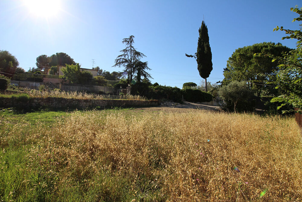 Vente Terrain MOUGINS - TERRAIN Mougins