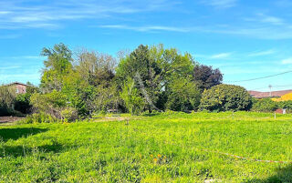  Terrain  vendre 1 pice 360 m