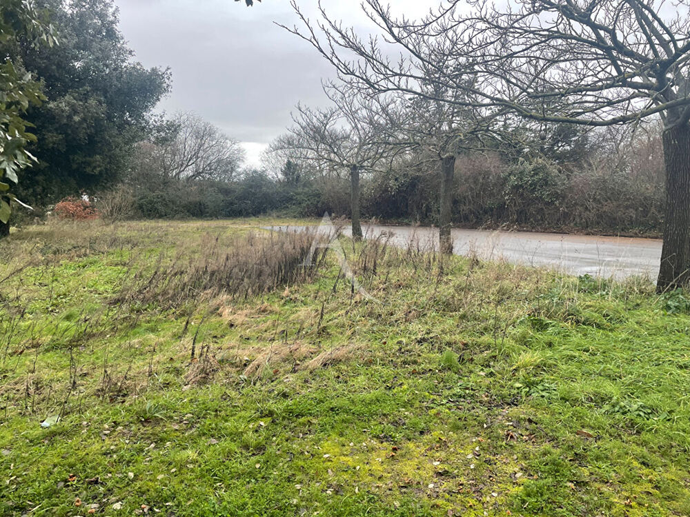 Vente Terrain Terrain Bretignolles Sur Mer 1367 m2 Bretignolles sur mer