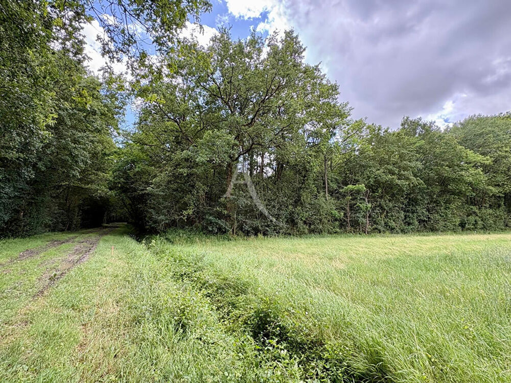 Vente Terrain Domaine forestier Le Plessis Grammoire Le plessis grammoire