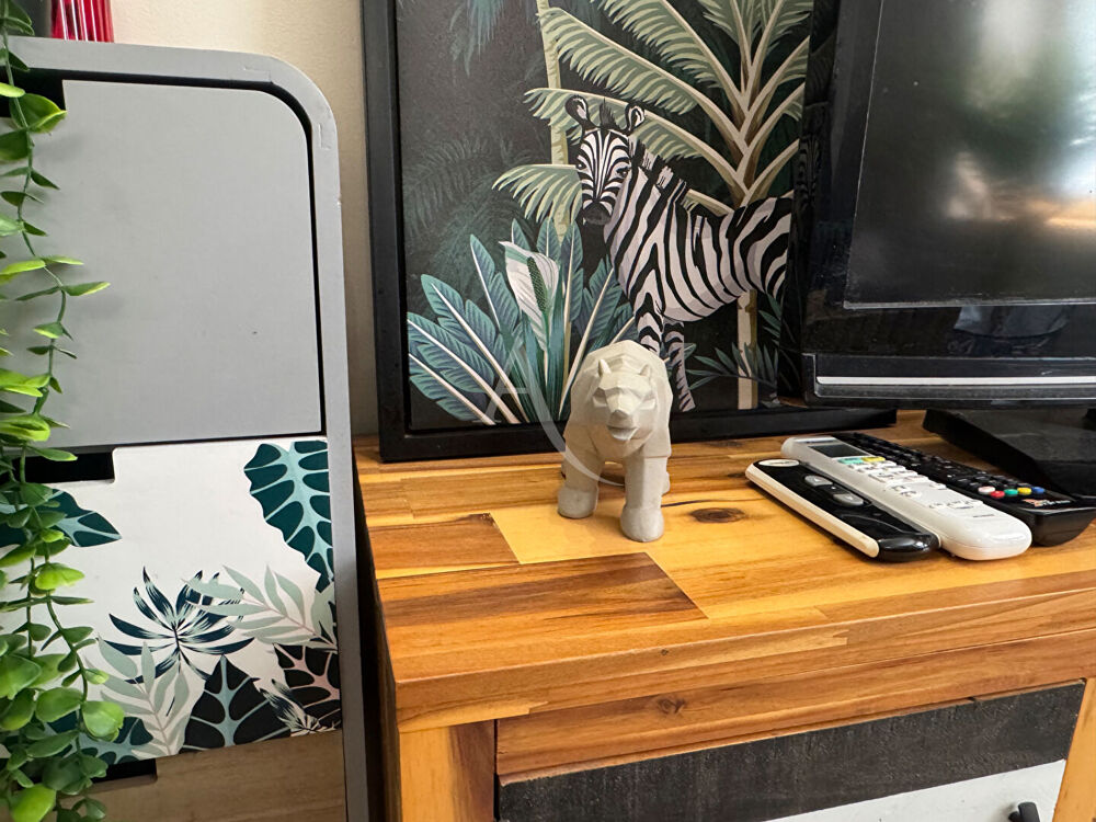 Location Appartement Studio meublé 14,7 m² - Quartier Saint-Alyre - 450  CC Clermont ferrand