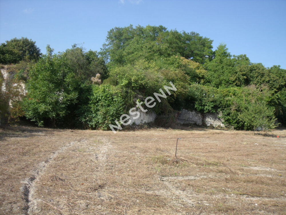 Vente Terrain Beaulieu Les Loches : Terrain à construire Beaulieu les loches