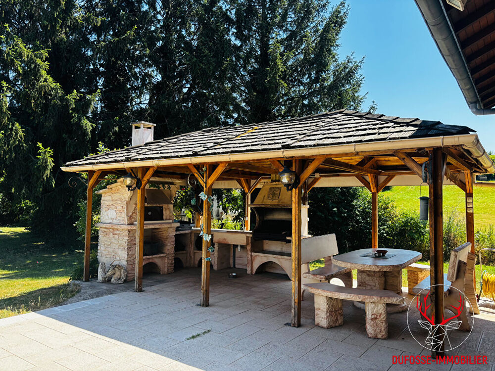 Vente Maison Maison 151m² avec piscine, sous-sol complet et dépendances - St-Georges-d'Espéranche (38790) Saint georges d esperanche