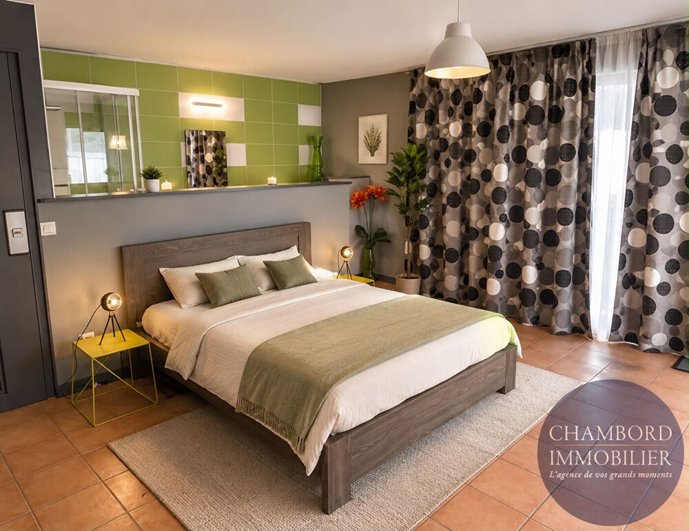 à vendre  Maison Chouzy-sur-Cisse (41150)
