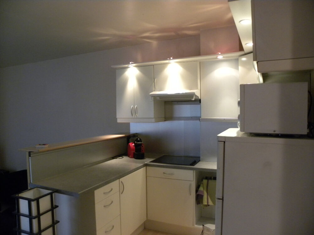 À louer - Appartement T2 de 45,60 m² -Lyon 6e