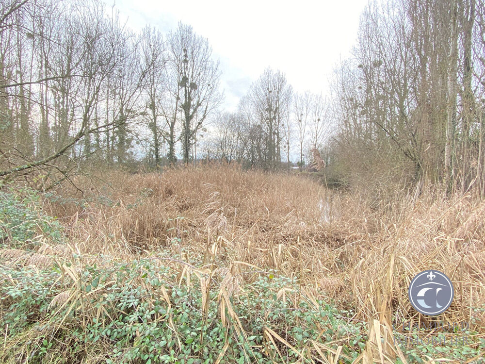 Vente Terrain Terrain de Loisirs à Vendre dans le Controis en Sologne/ Un Cadre Verdoyant Le controis en sologne