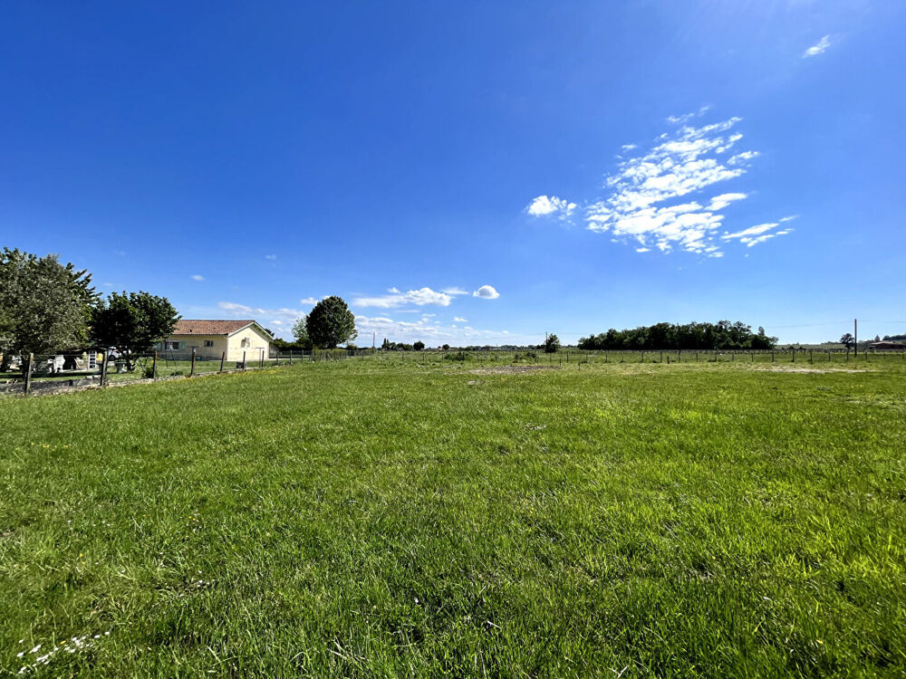 Vente Terrain A VENDRE TERRAIN LIBRE DE CONSTRUCTEUR DE 1 215 M2 PRICHE BLAYE Blaye