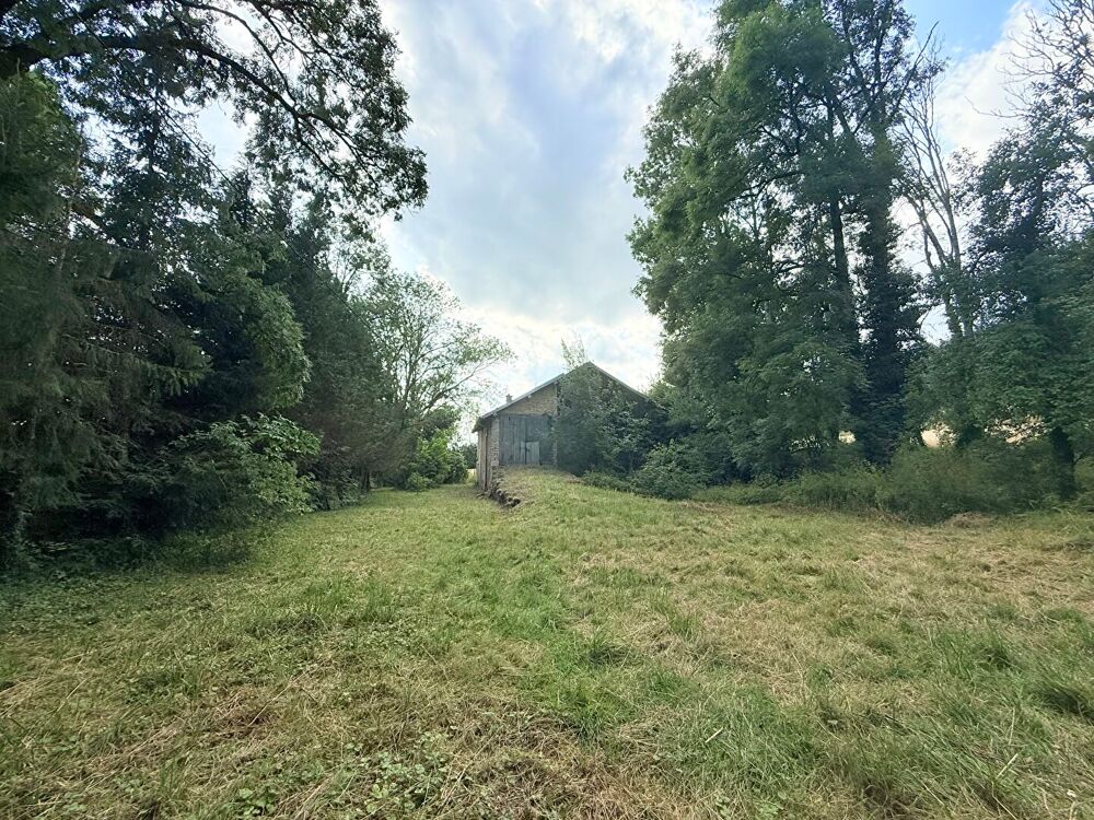 Vente Maison Maison  5 pièce(s) 300 m2 Vyt les belvoir