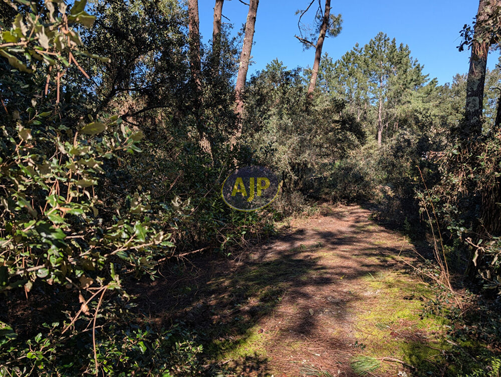 Vente Terrain Terrain Le Verdon Sur Mer 546 m2 Le verdon sur mer