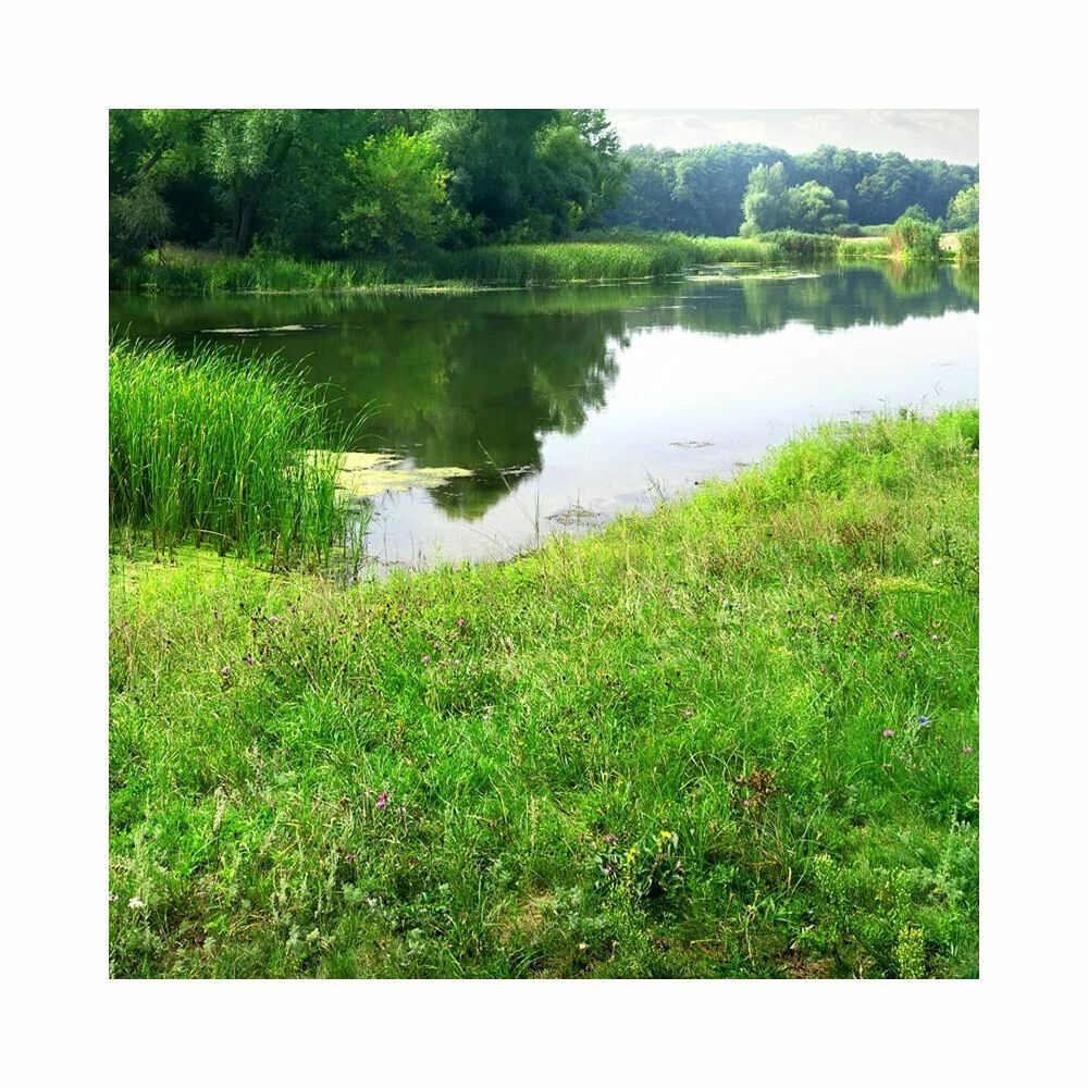 Vente Terrain Terrain de loisirs Flere La Riviere Flere la riviere
