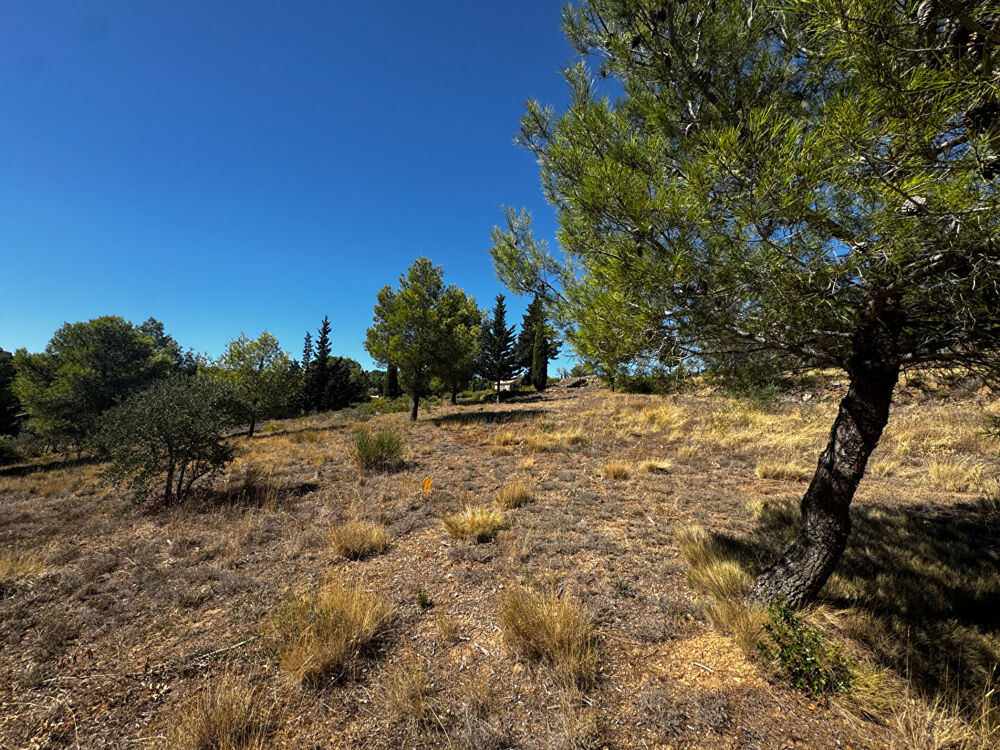 Vente Terrain Terrain constructible de 1086 m² à LEZIGNAN CORBIERES Lezignan corbieres