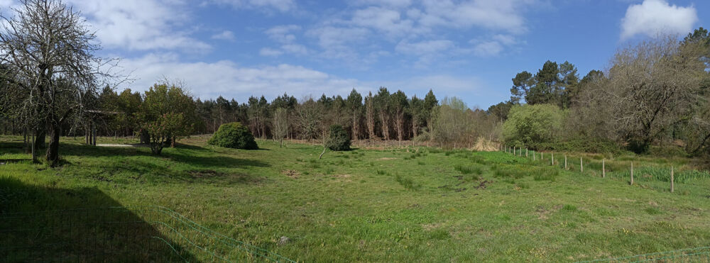LANDES ATLANTIQUE - Vaste maison & jardin paysager - Rare opportunité