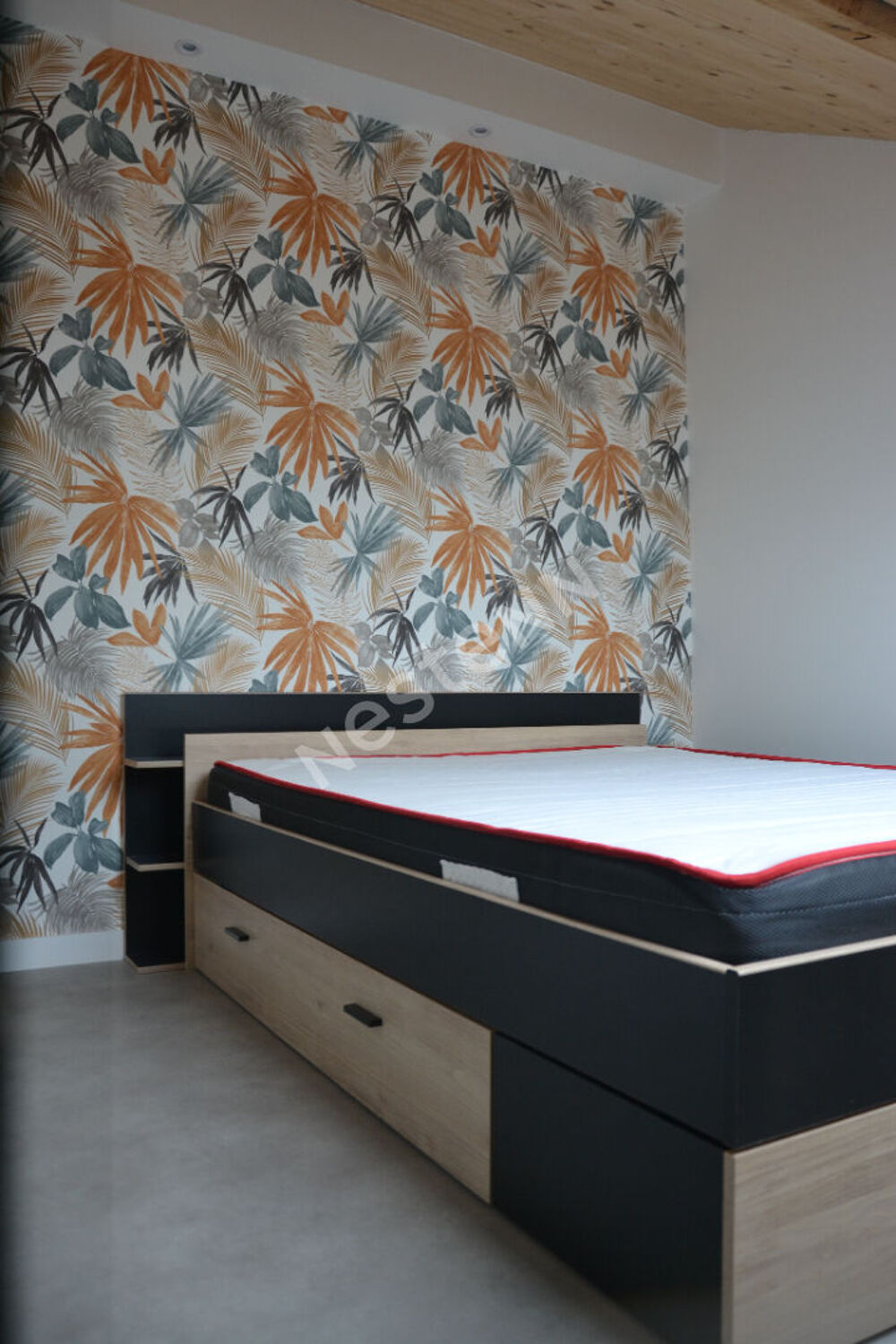 Location Appartement COLOCATION Appartement en Co living 4 grandes chambres privatives proximité centre Yssingeaux Yssingeaux