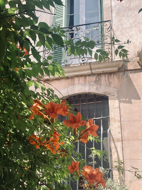  Maison � louer 10 pi�ces 380 m�