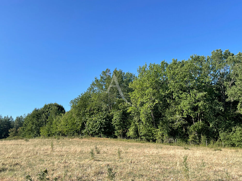 Vente Terrain Bois -  Montagnac-sur-Lède - 24 000 m2 Montagnac sur lede