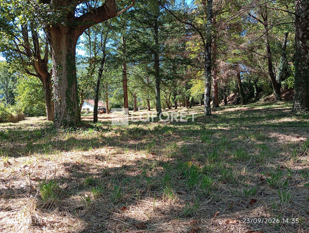 Vente Terrain ANCIEN CAMPING / 2,15 ha - PRATS DE MOLLO Prats de mollo la preste