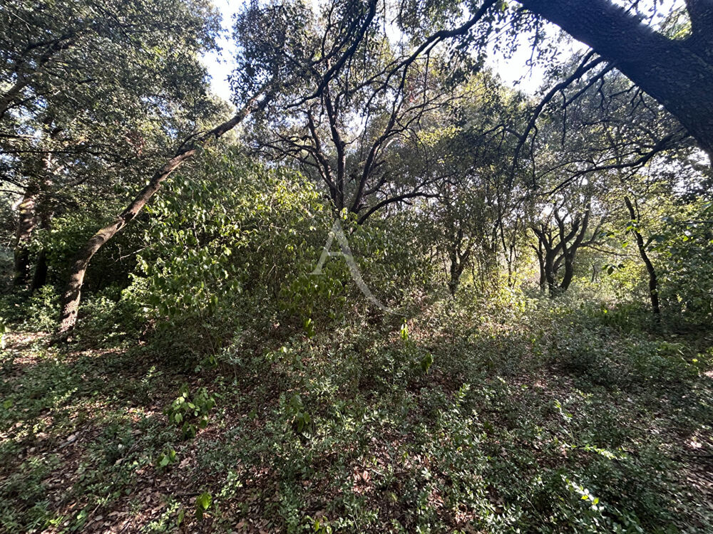 Vente Terrain TERRAIN À BÂTIR DE 1 390 M²  SUPERBE ENVIRONNEMENT ET VUE DÉGAGÉE Alairac