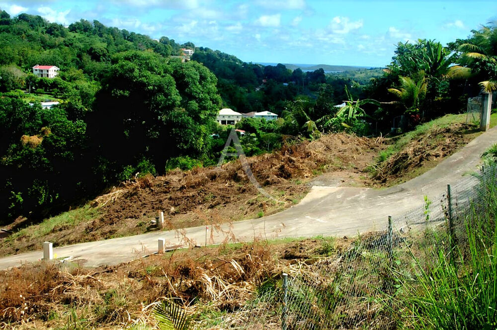 Vente Terrain Terrain viabilisé de 908 m2 - Chopotte Le FRANÇOIS Le francois