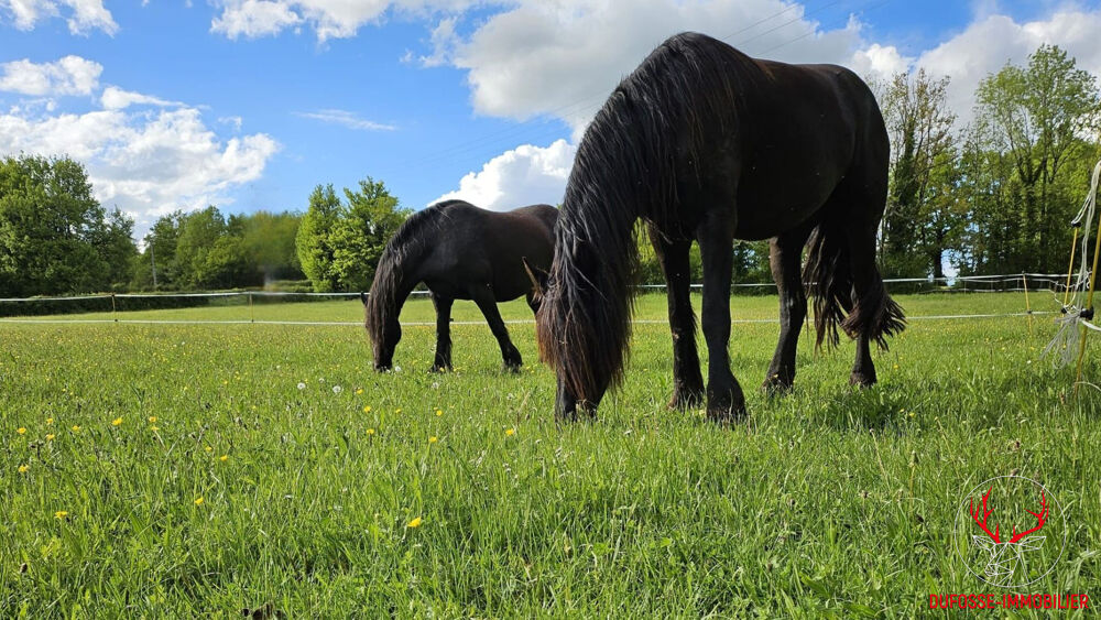 Vente Maison Propriété avec potentiel rare d'activités multiples au coeur du Lot Rocamadour
