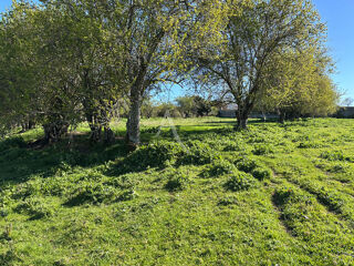  Maison � vendre 10 pi�ces 220 m�