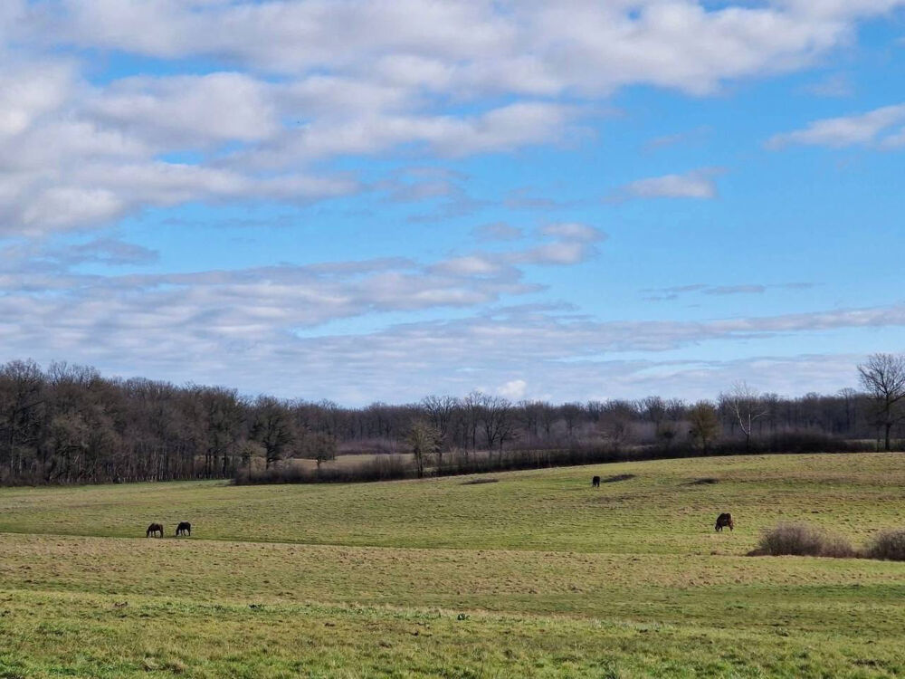 Haras d'exception de 40 hectares