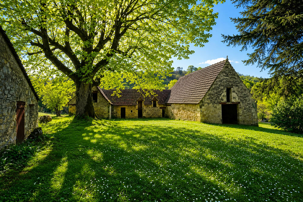 PROPRIÉTÉ D'EXCEPTION HAMEAU DE CHARME DU XVIII SIÈCLE AU COEUR DU PÉRIGORD NOIR