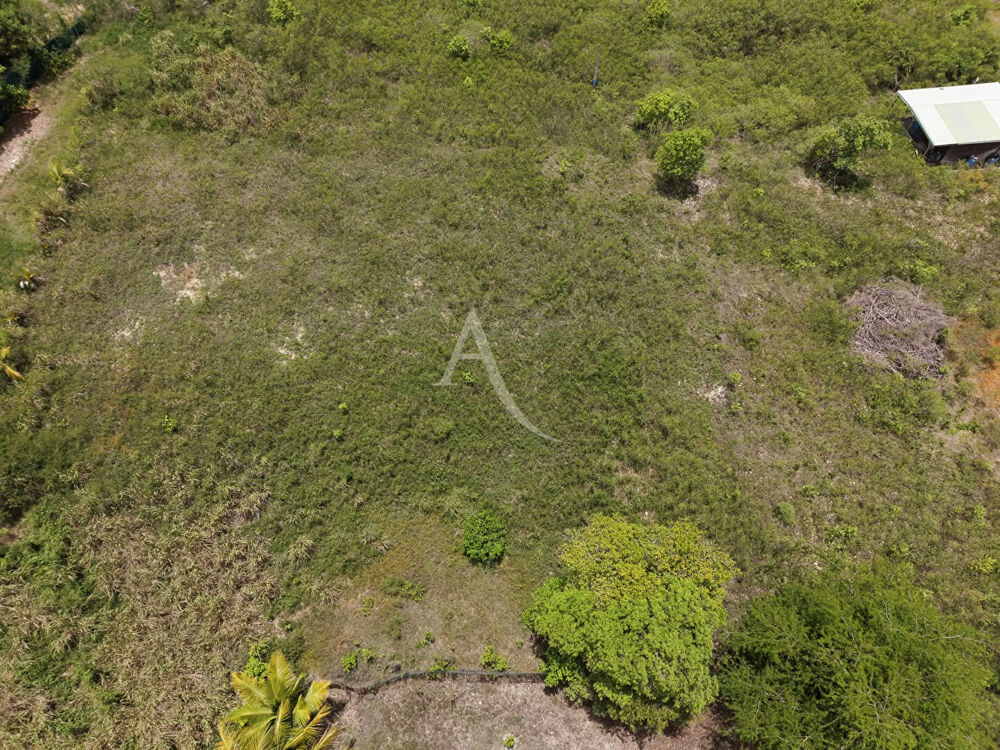 Vente Terrain 741 m² - Plus