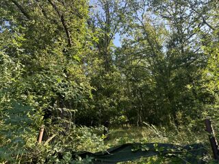  Terrain  vendre 115 m