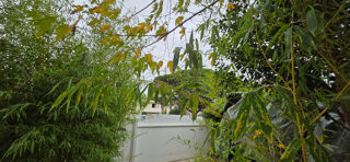  Maison � vendre 6 pi�ces 200 m�