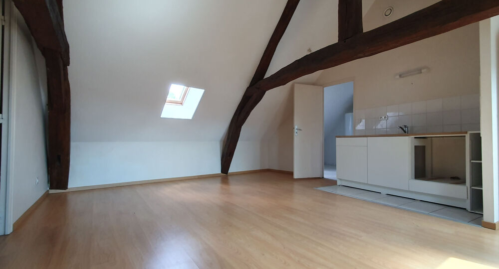 Location Appartement Appartement Olivet bourg 2 pièces Olivet