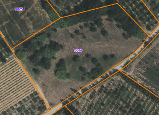 Vente Terrain Saint Nazaire Terrain Agricole ou de loisirs de 8894 m2 Saint nazaire