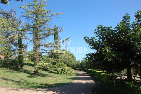 Vente Villa Demeure de prestige  11 pi�ce(s) 580 m2 Caraman