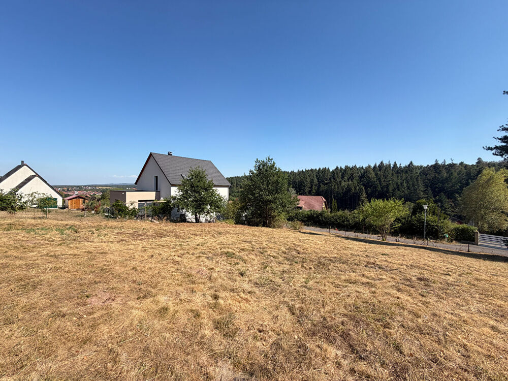 Vente Terrain Terrain constructible OBERHASLACH 7 ares 35 Oberhaslach