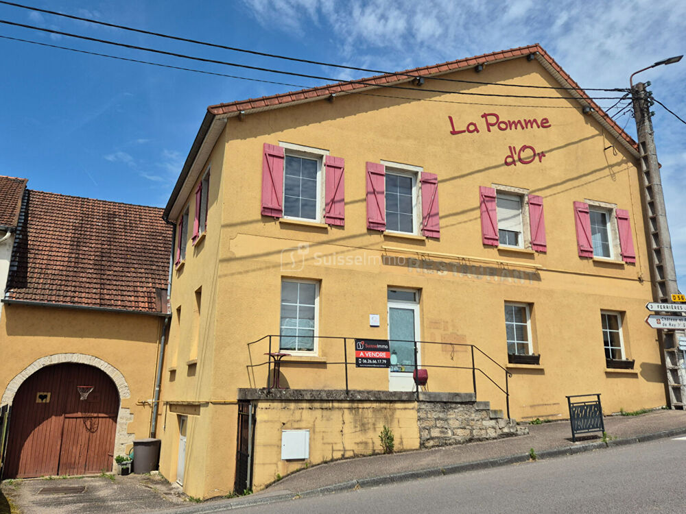 Grande Maison bord de Saône 10 pièce(s) 550 m2 avec terrasse et Parking
