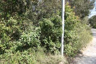  Terrain � vendre 5551 m�