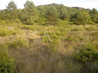  Terrain à vendre 3194 m²