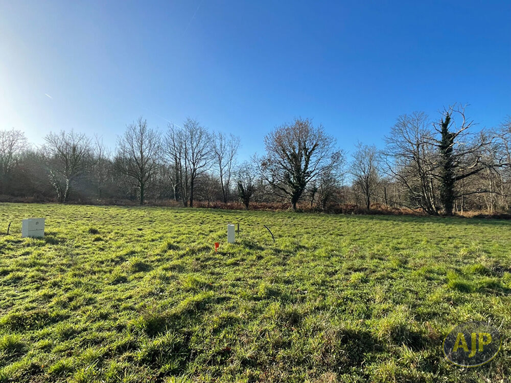 Vente Terrain Terrain Challans 1772 m2 Challans