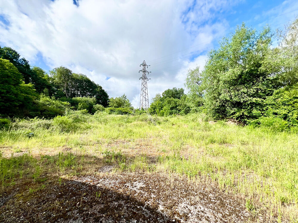 Vente Terrain INVESTISSEMENT ENSEMBLE IMMOBILIER DE 1,16 HECTARE AVEC 52 ARES CONSTRUCTIBLES ET HALL D'ACTIVITÉS DE 500 M² Freyming merlebach