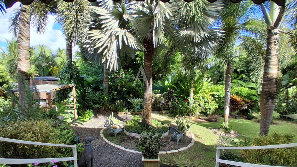 Un havre tropical avec rooftop : une maison unique !