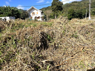  Terrain à vendre 732 m²