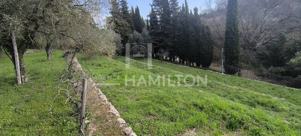 Vente Terrain TERRAIN CONSTRUCTIBLE Valbonne
