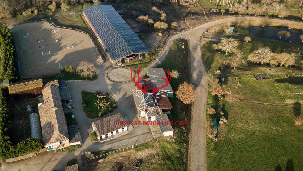 Propriété équestre de 12 hectares