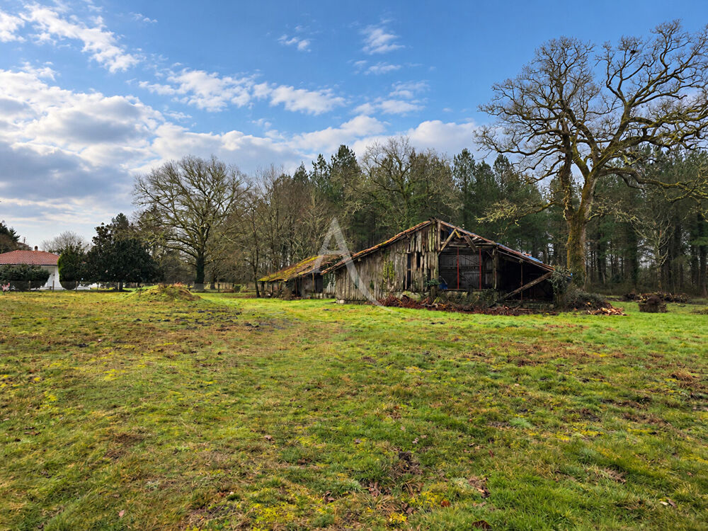 Vente Terrain 2383 m² - Vue 4