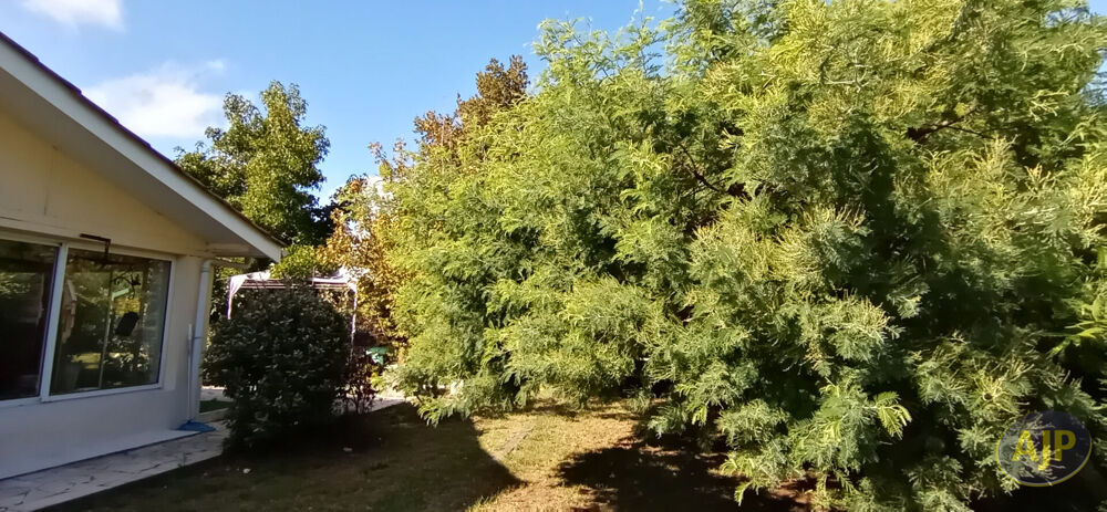 Maison 4 pièce(s) 95 m2 à Lège
